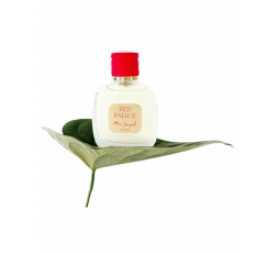 RED PALACE EDP 100 ml